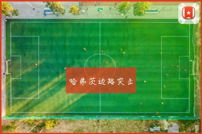 哈弗茨边路突击