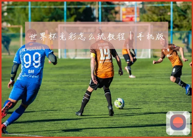 世界杯竞彩怎么玩教程｜手机版