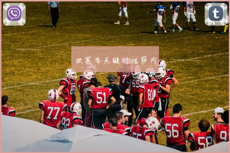 坎塞洛关键对话萨内