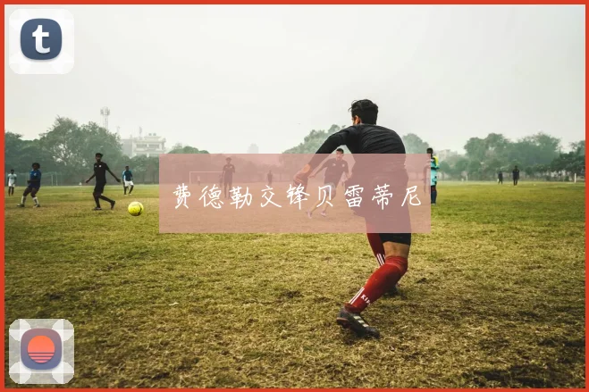 费德勒交锋贝雷蒂尼